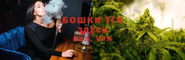 ECSTASY Аркадак