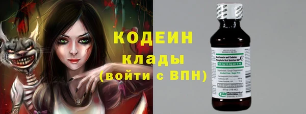 индика Армянск