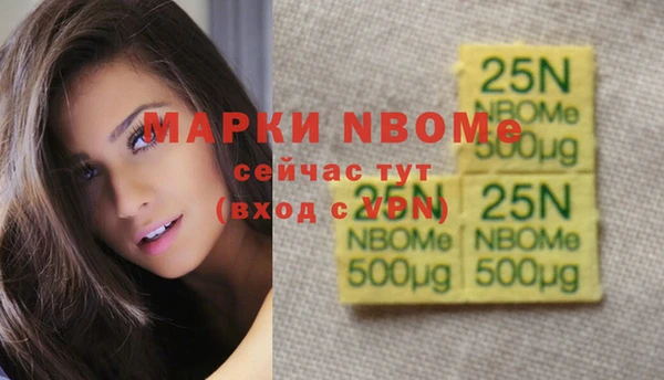 индика Армянск