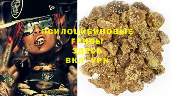 ECSTASY Аркадак