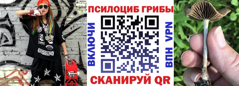 наркота  Слободской  Псилоцибиновые грибы прущие грибы 
